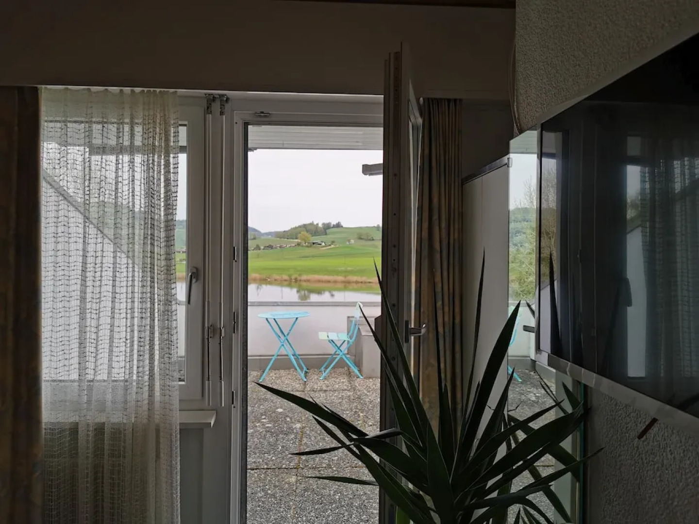 Erlebnisland Grizzlybär