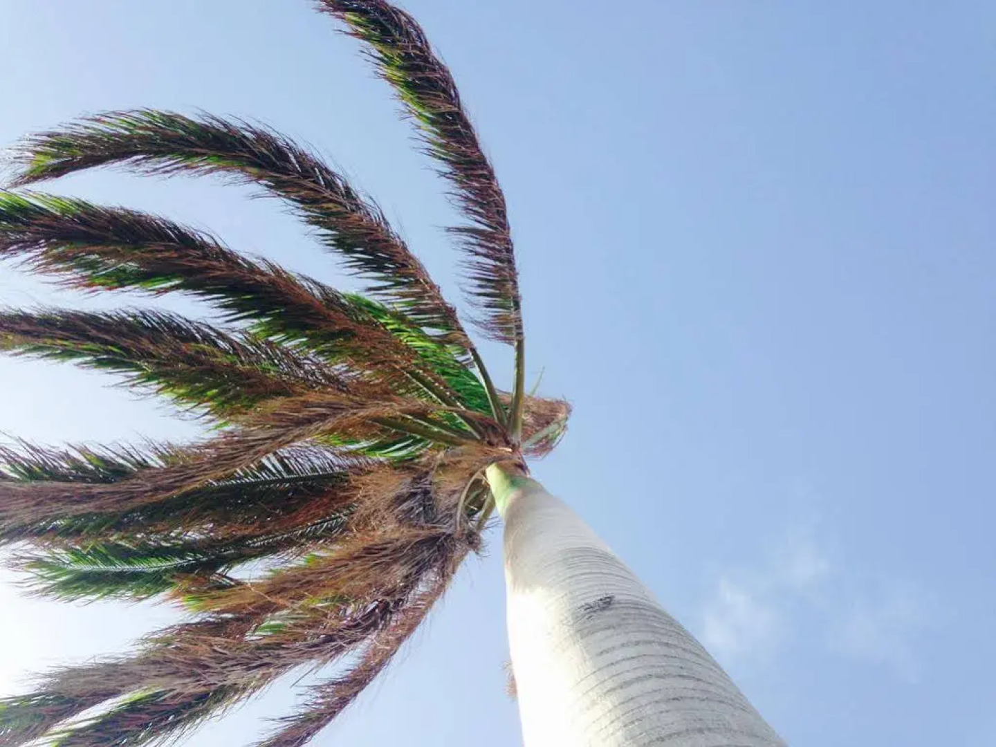 Pirela Realty Aruba Apartments