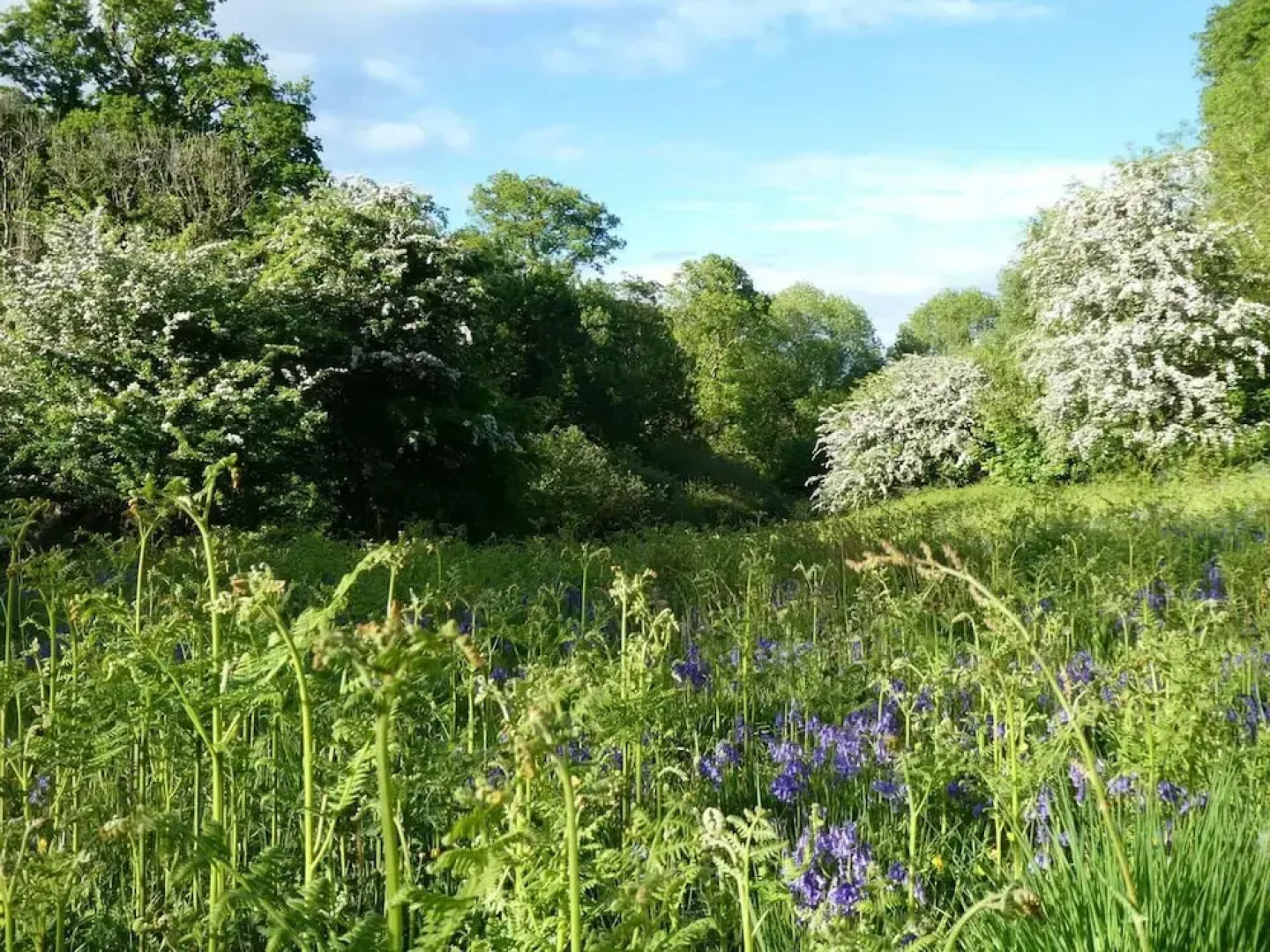 Roundhouse Yurt, Stunning Views, Totnes Dartmouth