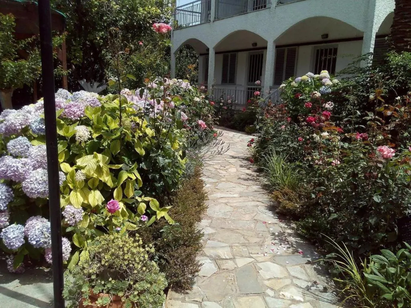 Margarita Apartments