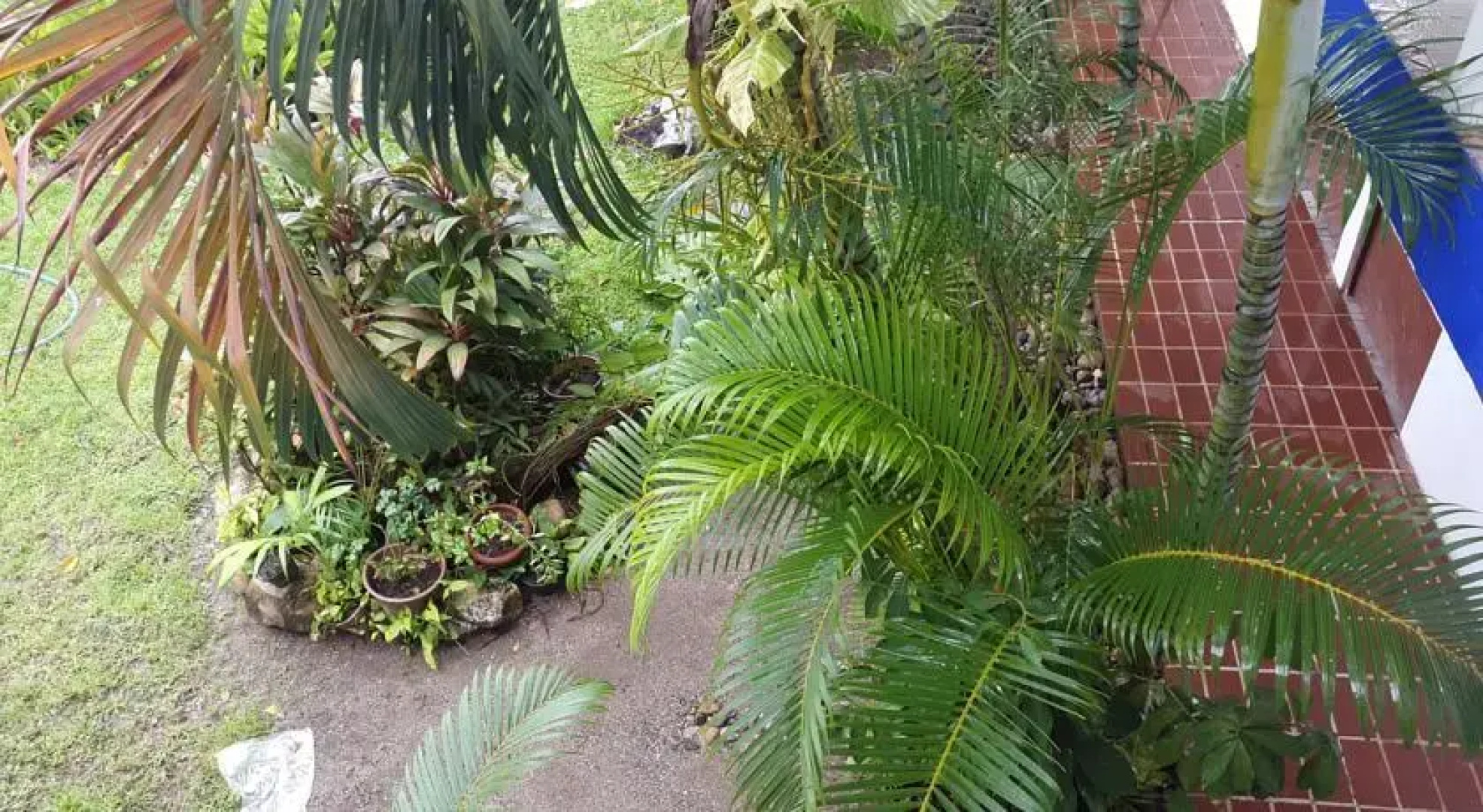 Hotel La Trinidad