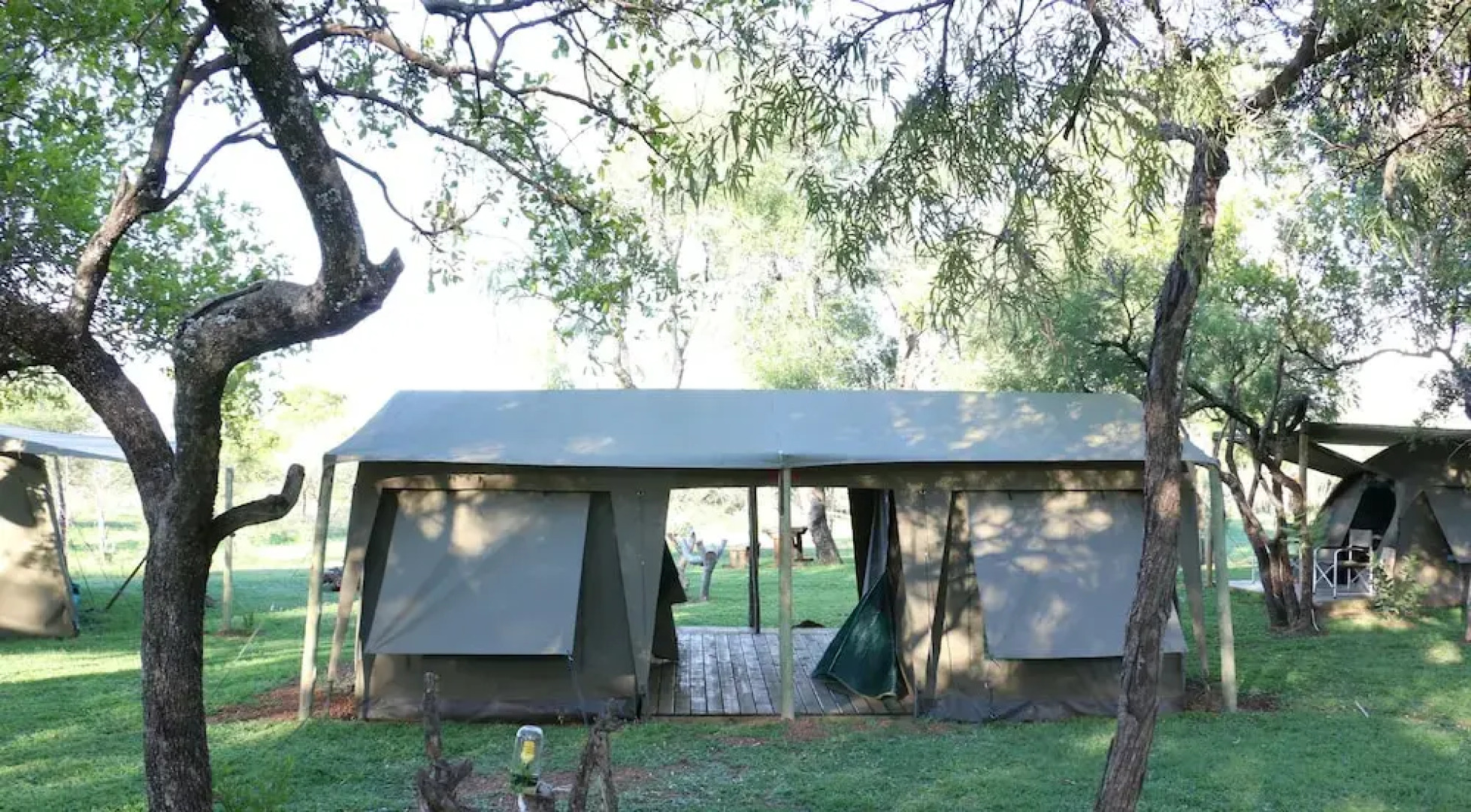 Thorn Tree Bush Camp