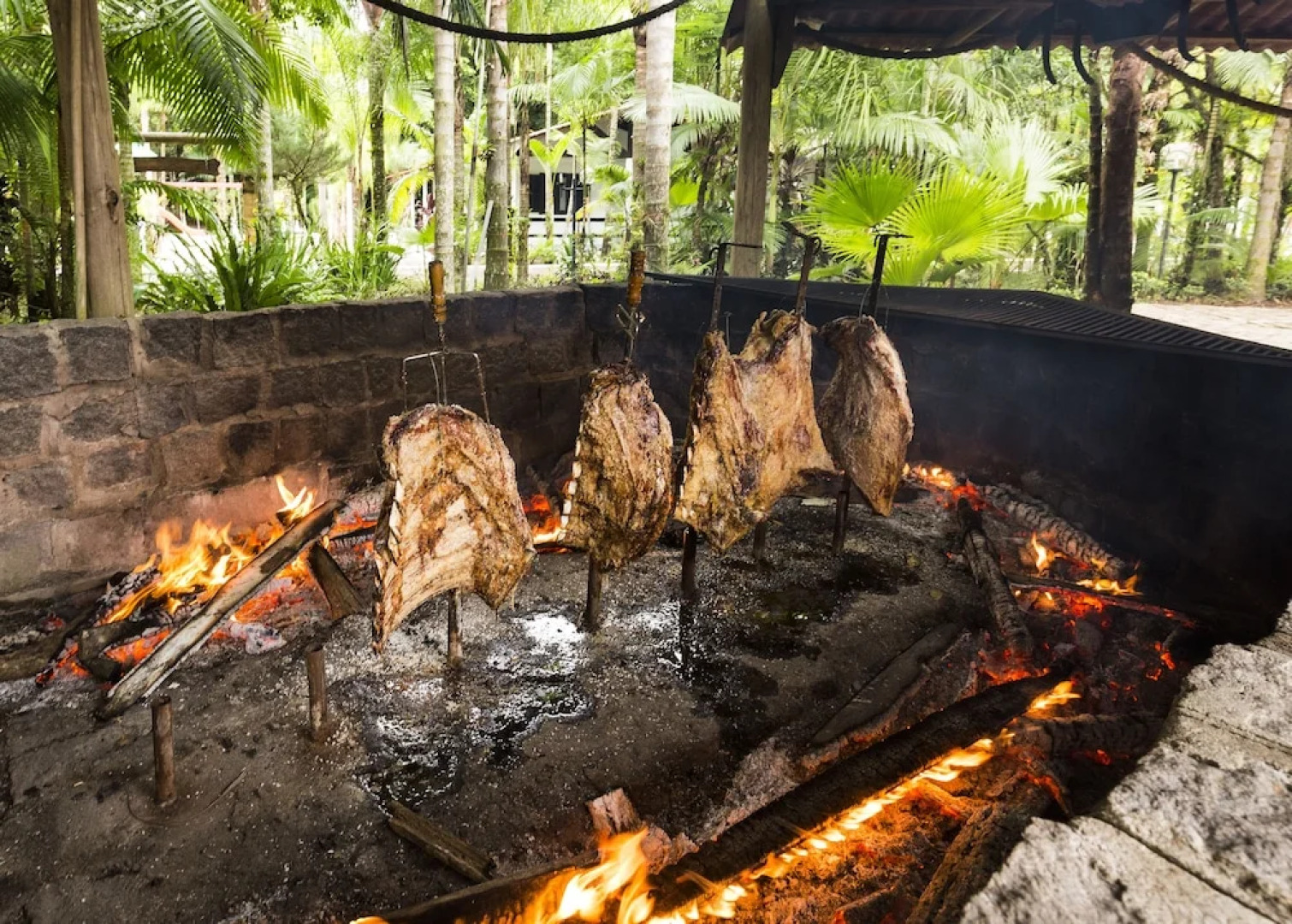 Pousada de Pesca e Lazer Camury