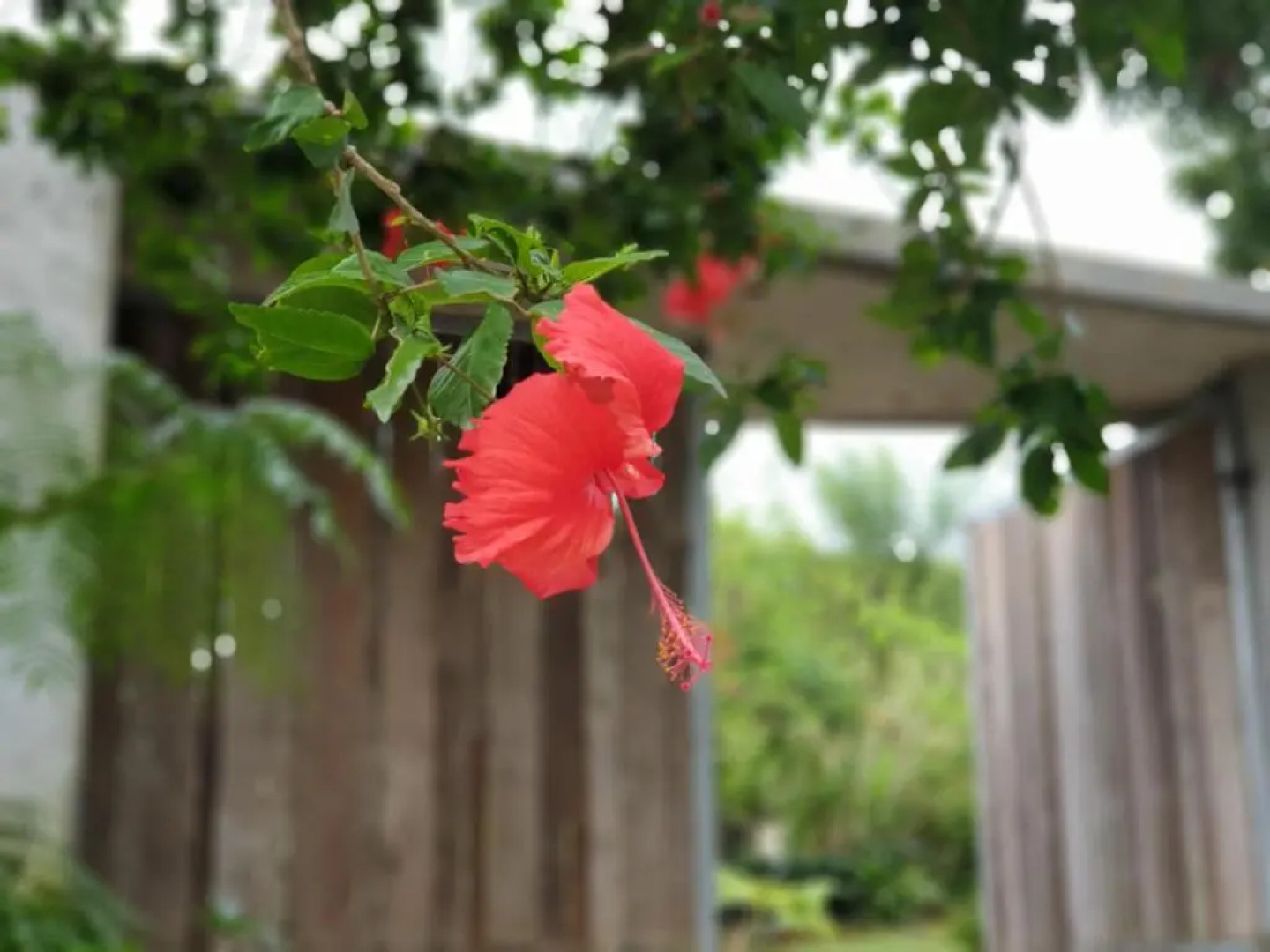 Maka-Kalinaw 4 Wabi-sabi Room, Spa bath