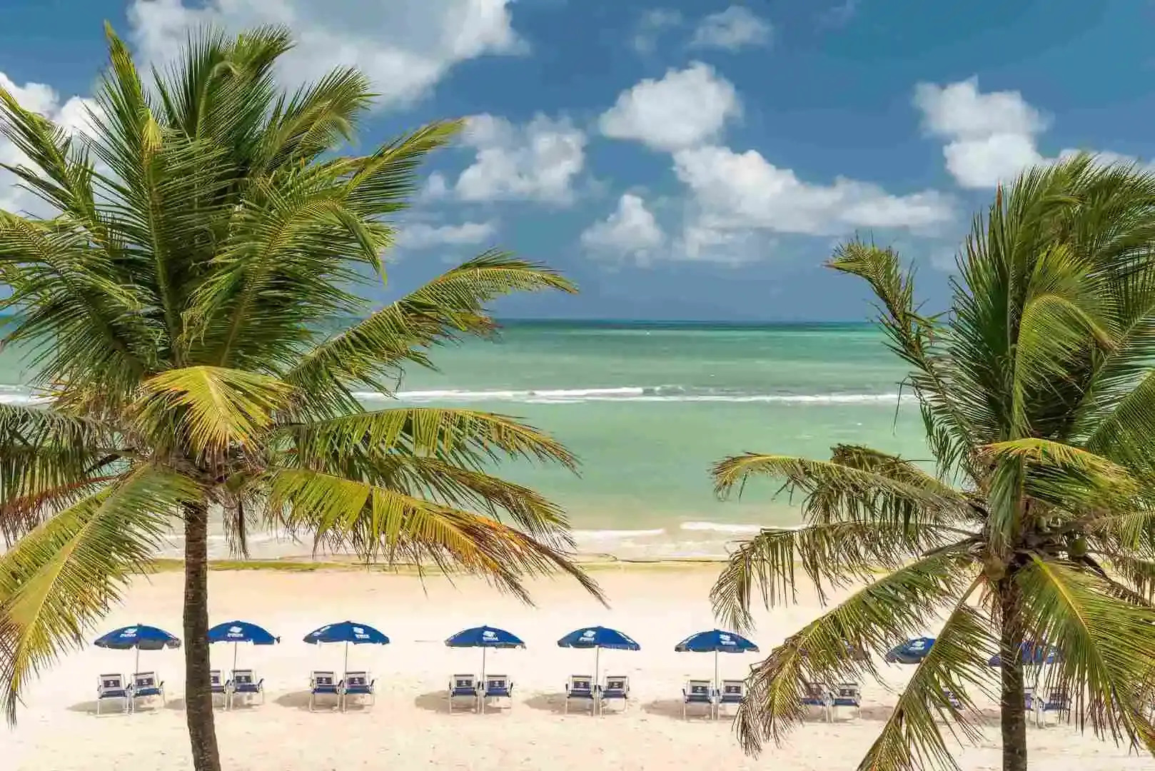 Transamerica Dunas de Marapé