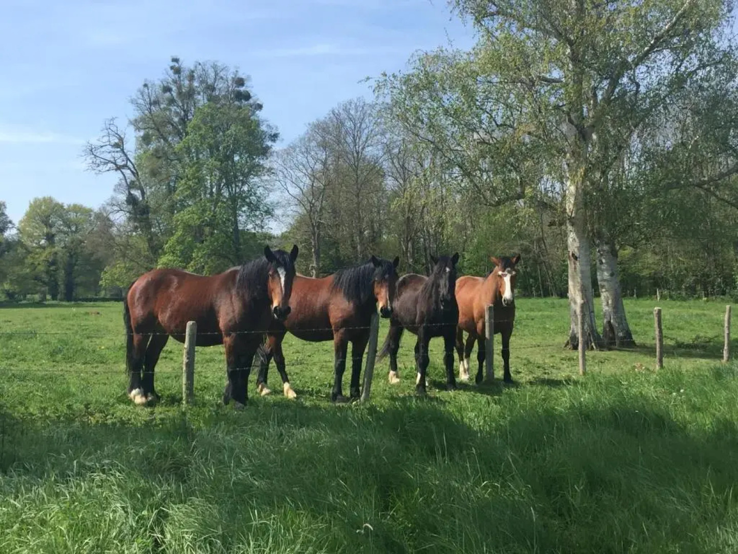 Chambres dans le gîte "Rêves de Gamins", proche du pôle Européen et du circuit des 24h