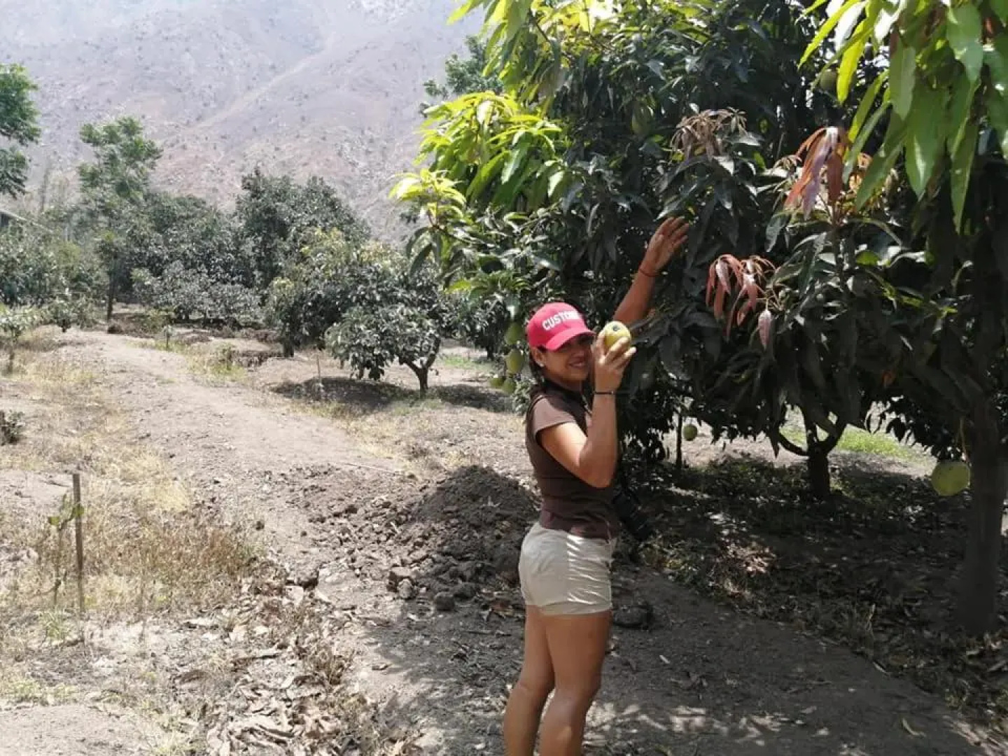 Cabaña en Fundo Huabayor