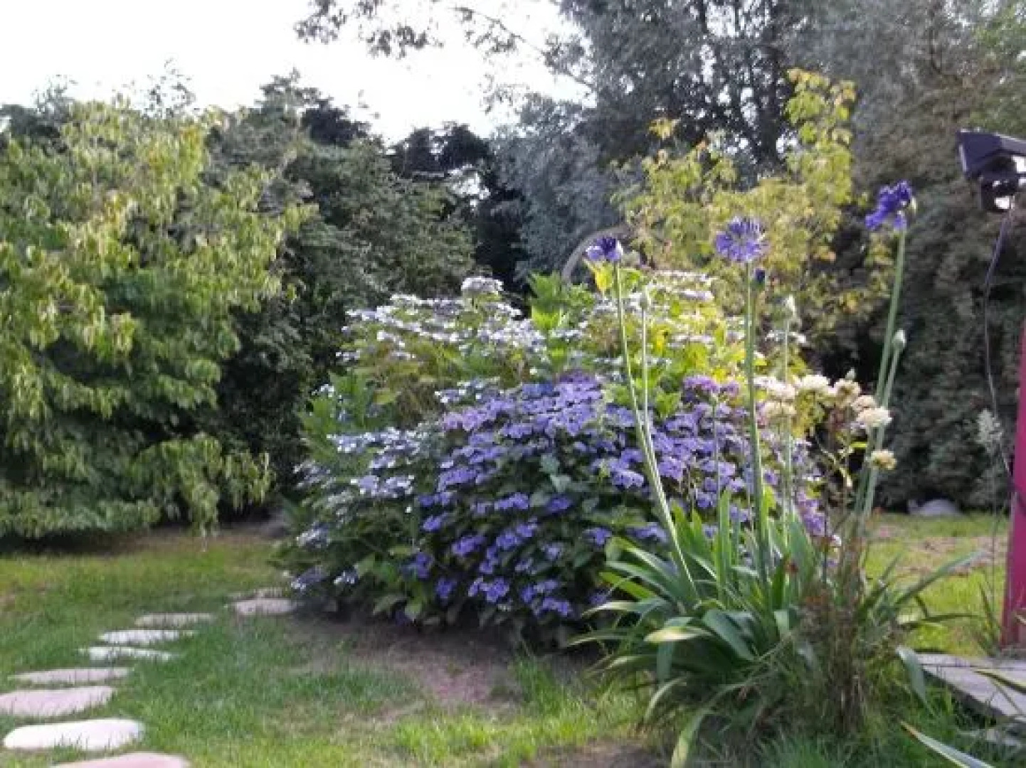 Chambre dHôtes Etretat