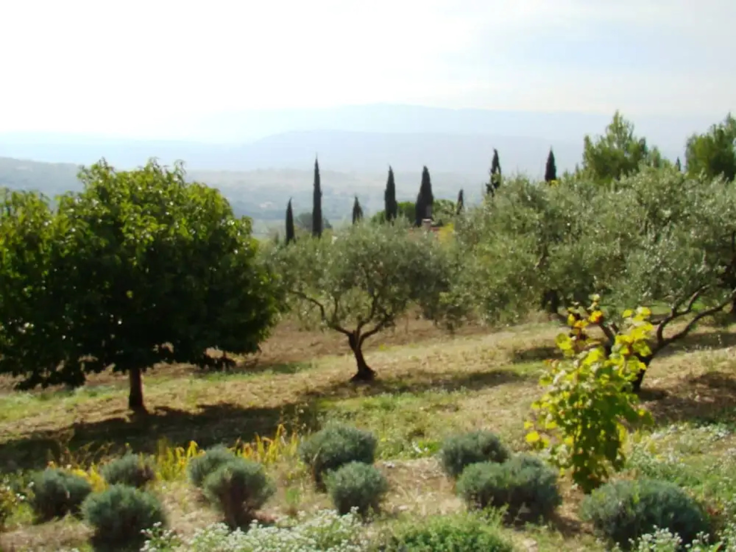 Lovely Holiday Home in Saint-saturnin-lès-apt With Pool