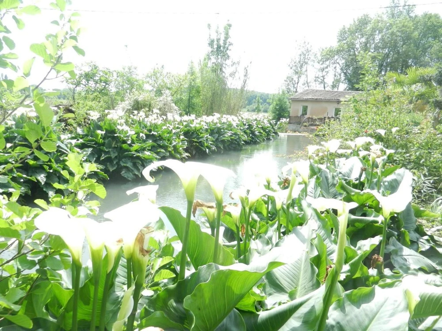 House With one Bedroom in La Mothe-saint-héray, With Furnished Terrace