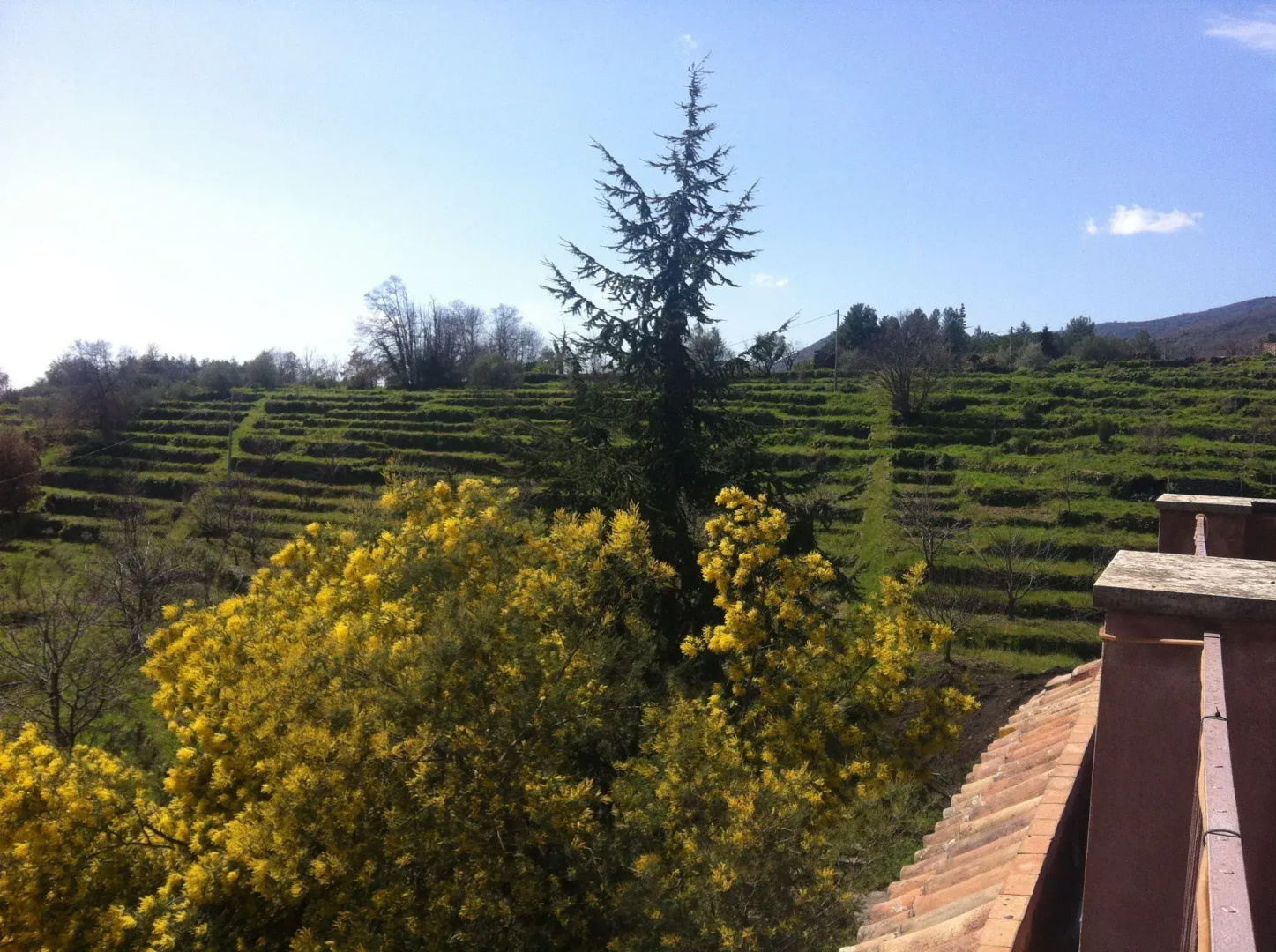 La Rocca Della Rosa