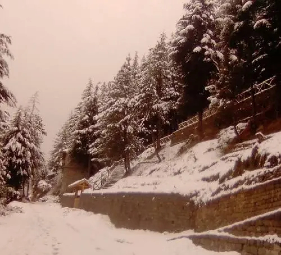 Kudrat A Boutique Homestay