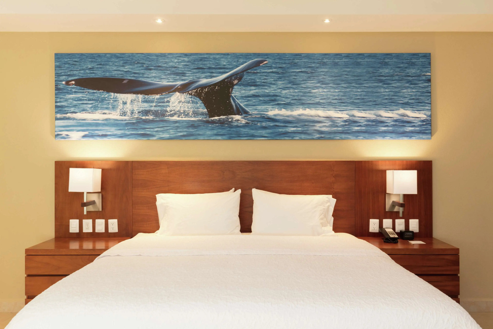 Hampton Inn & Suites by Hilton Los Cabos