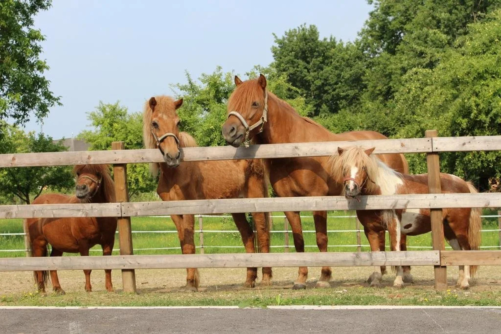 Pirkers Familienpension