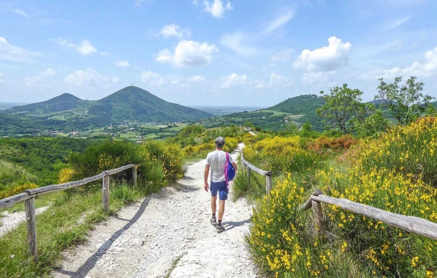 Amazing Home in Monselice With Wifi and 1 Bedrooms