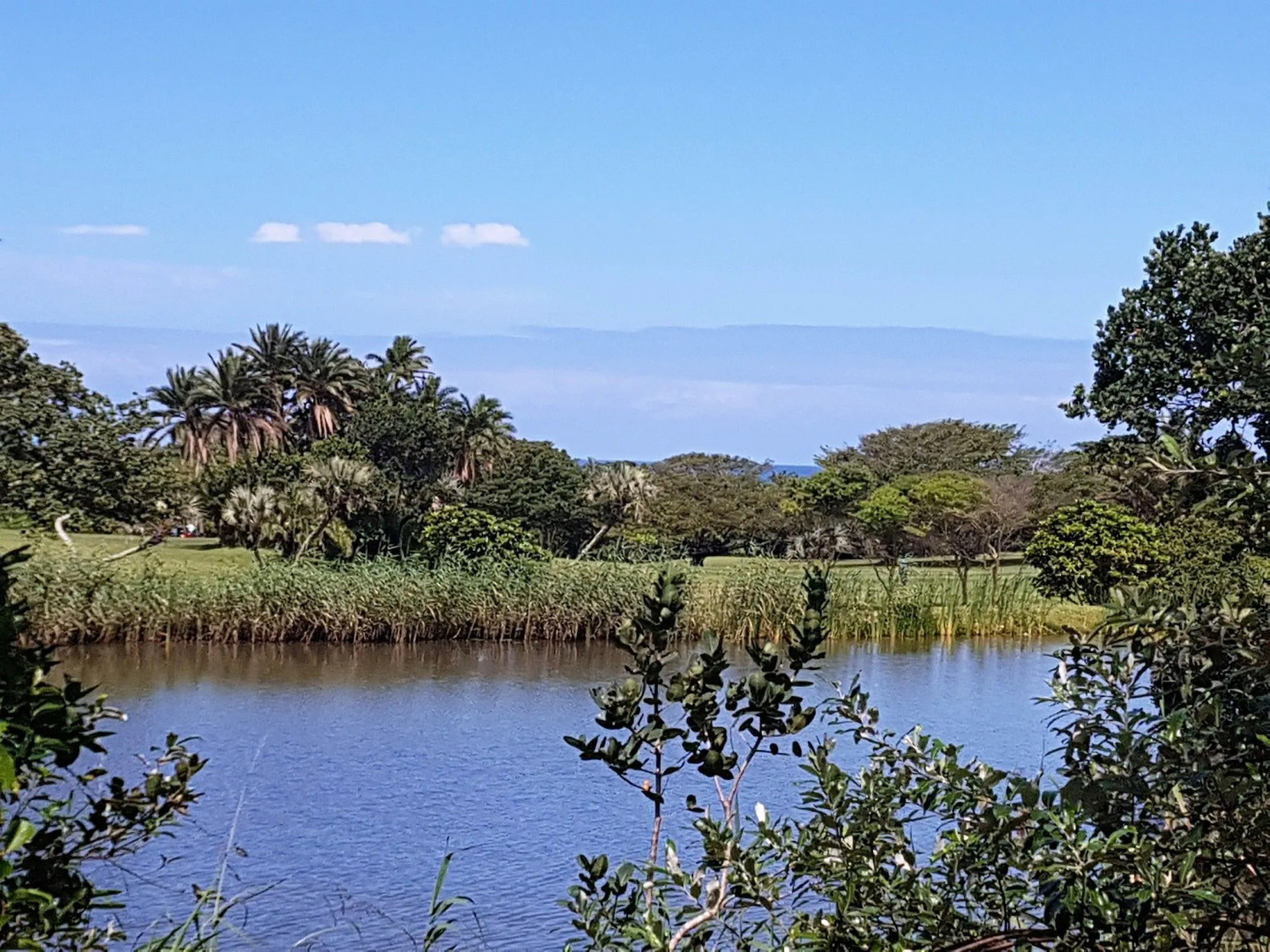 Sunbirds Bed & Breakfast