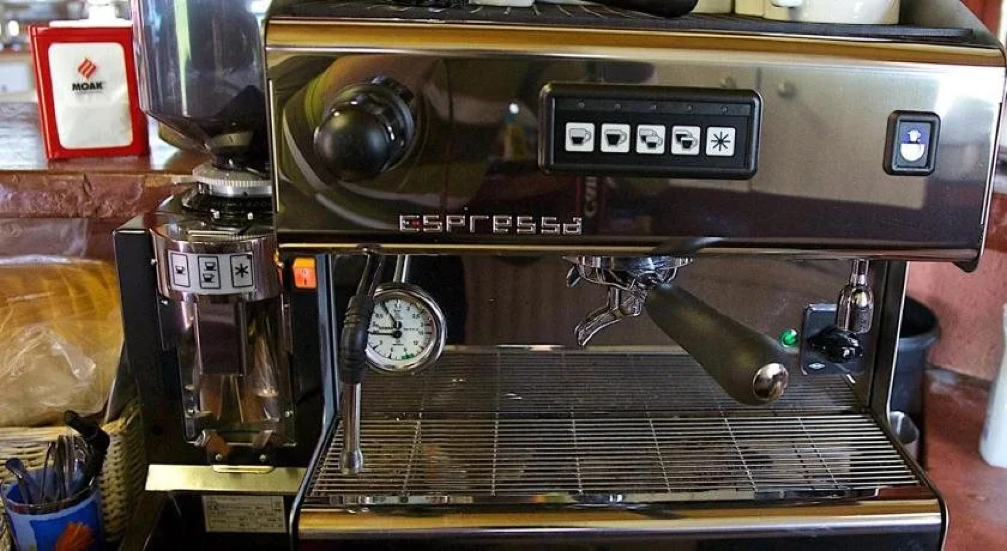 El Bronco Working Ranch