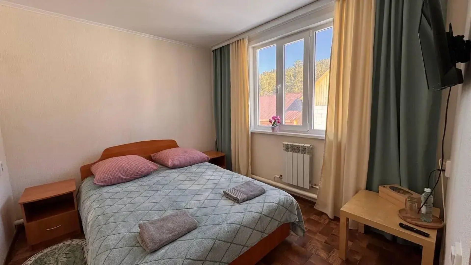 Кедр Золотой