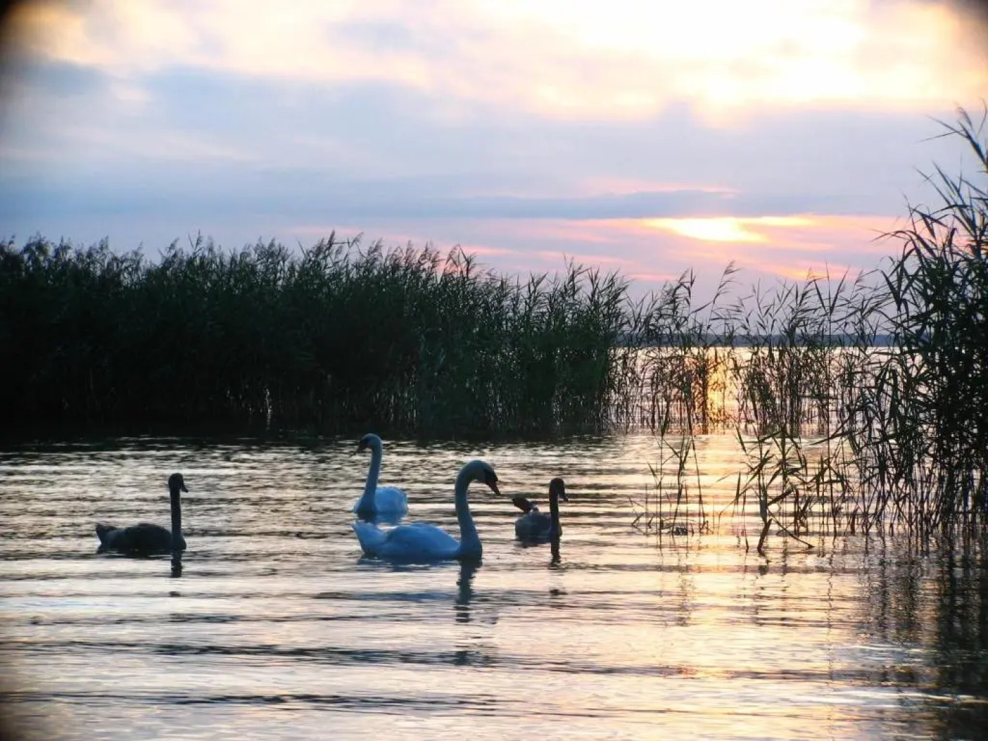 Feriendorf Boeker Mühle