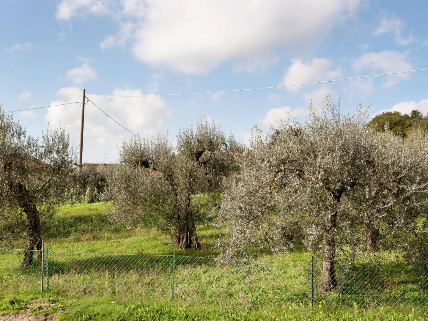 Apartment in Monte del Lago Near Lake Trasimeno