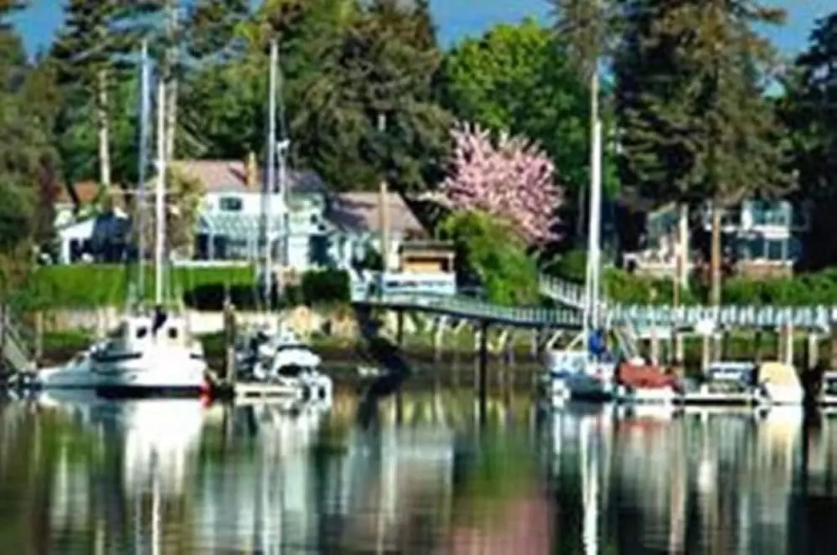 Salty Towers Oceanfront Cottages