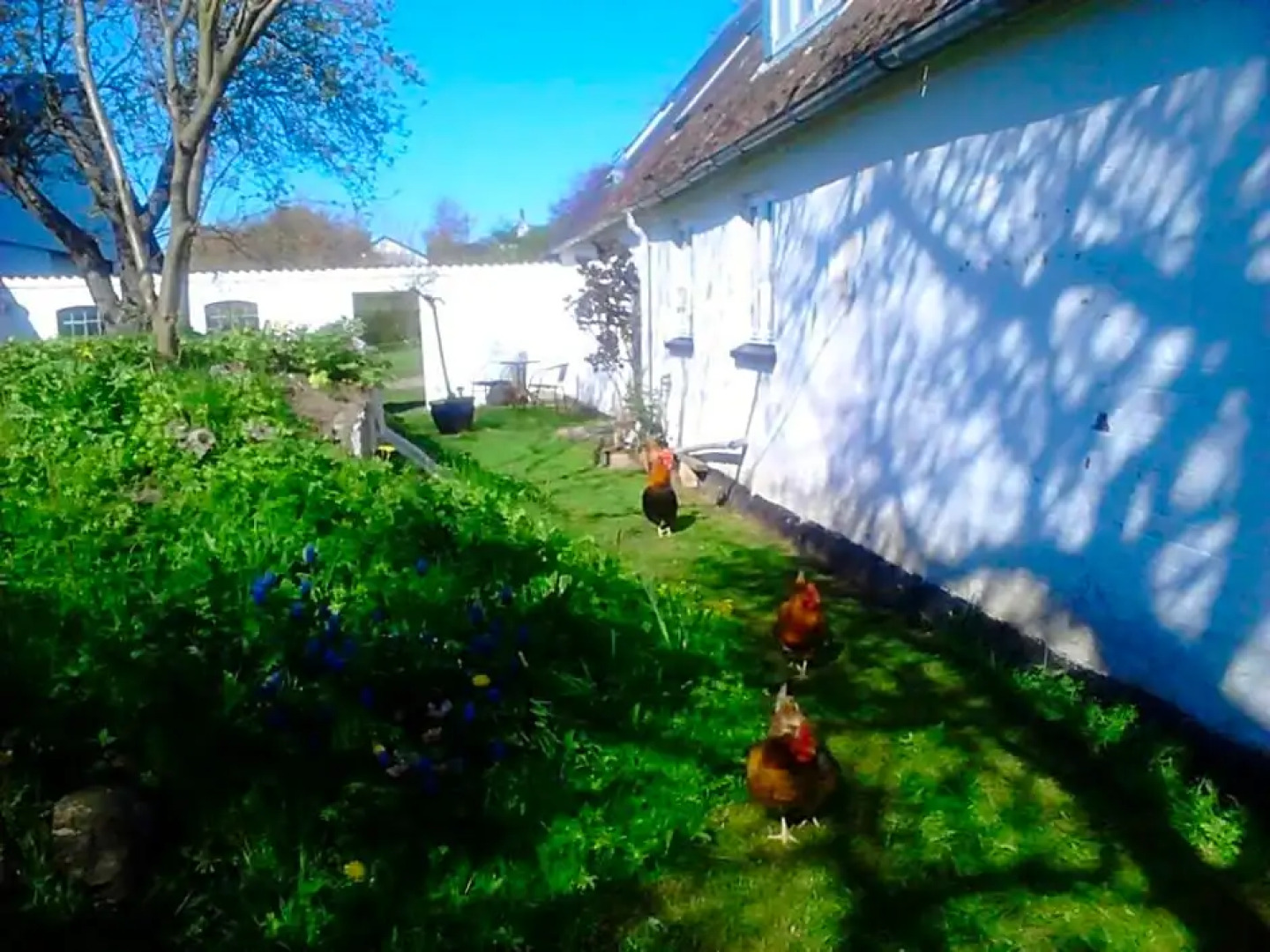 Moen Oekologisk Bed & Breakfast