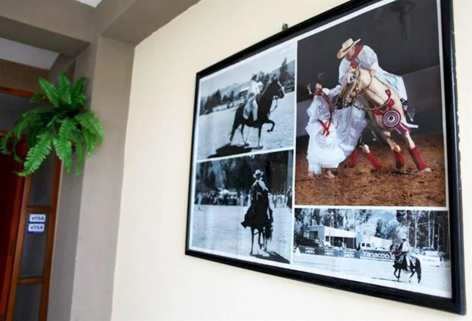 Los Sauces Bed & Breakfast