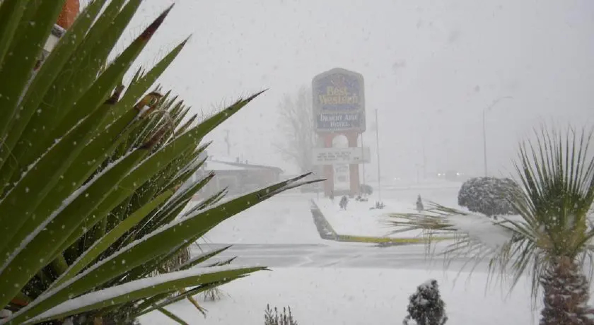 Best Western Desert Aire Hotel