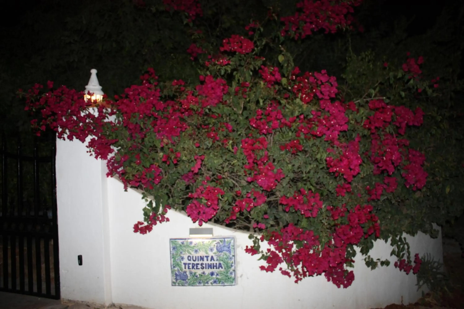 Quinta Teresinha