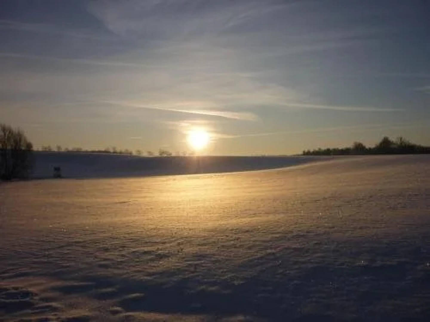 Pension Schwalbennest