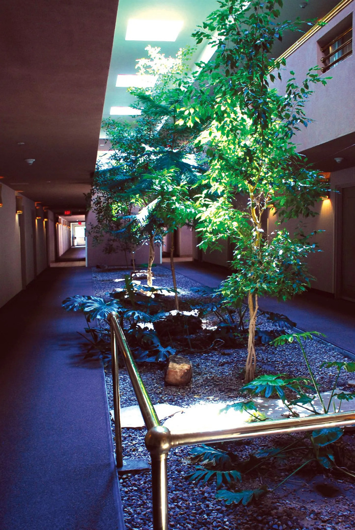 Cities Of Gold Casino