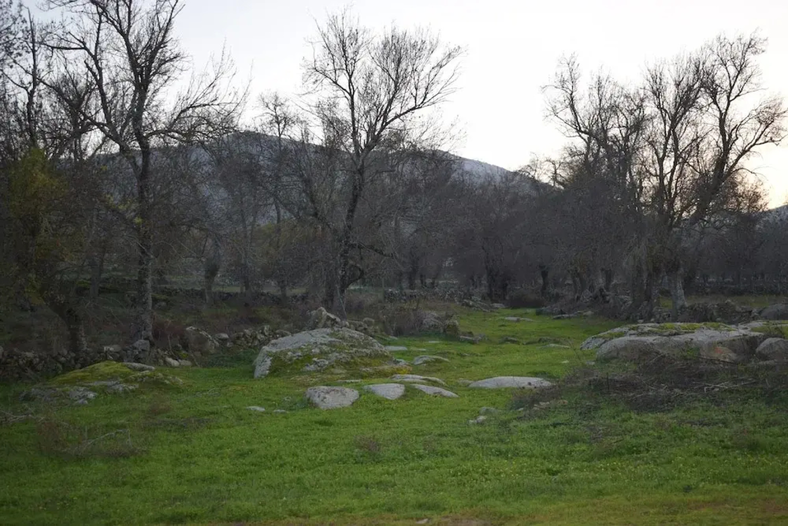 Casa Rural Las Navillas