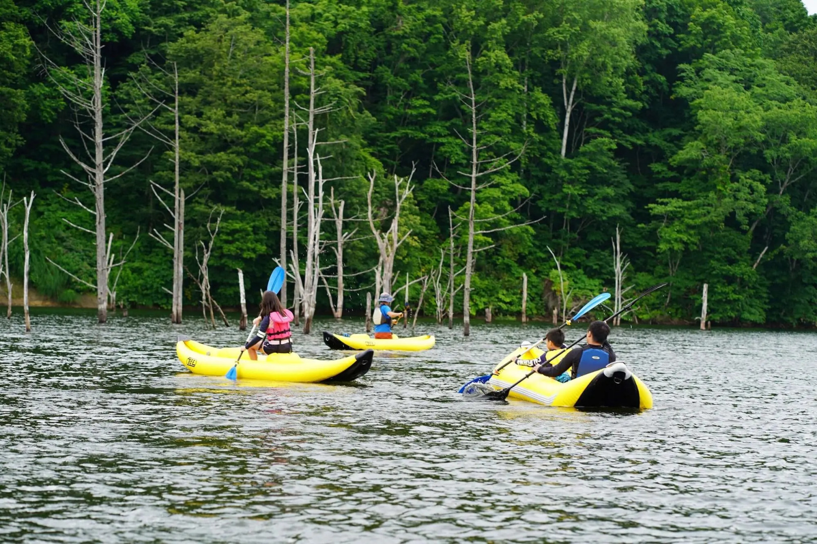 The Kiroro, A Tribute Portfolio Hotel, Hokkaido