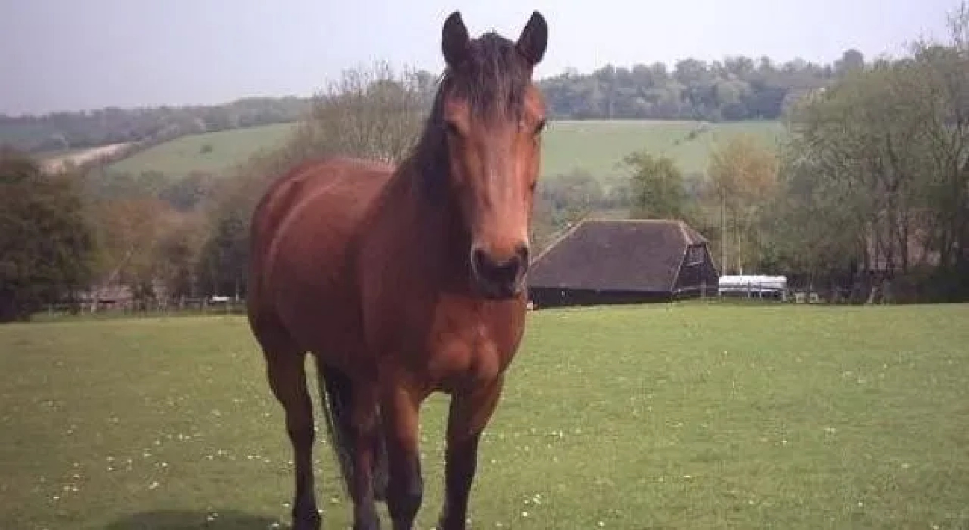 Upper Ansdore Bed and Breakfast