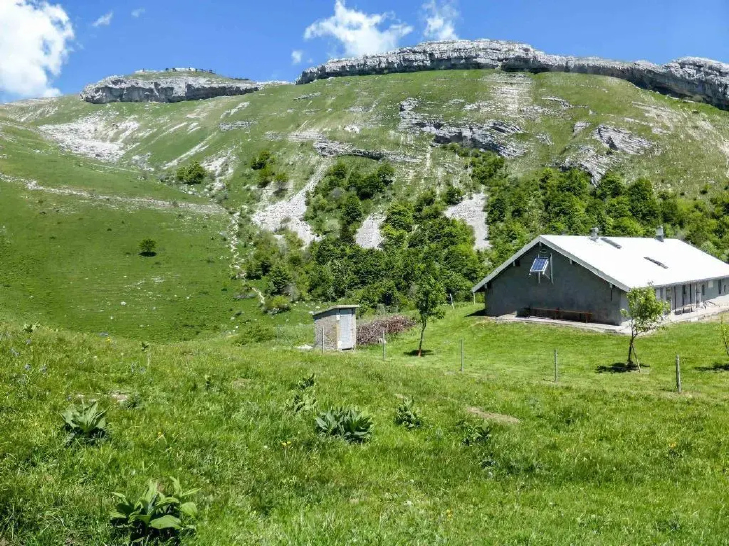 Adagio Original Thoiry Geneve