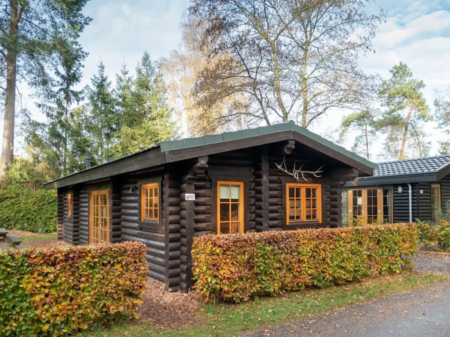 Wooden Chalet with Dishwasher near De Veluwe National Park