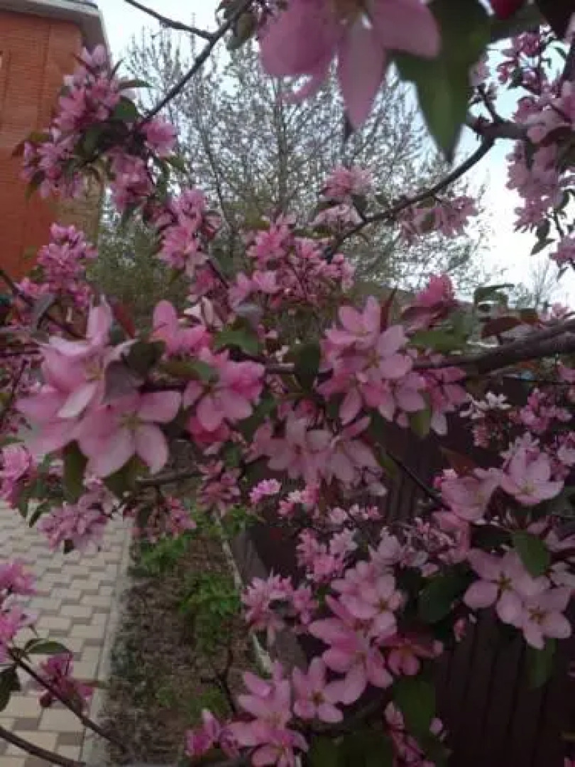 Гостевой Дом МилаДом