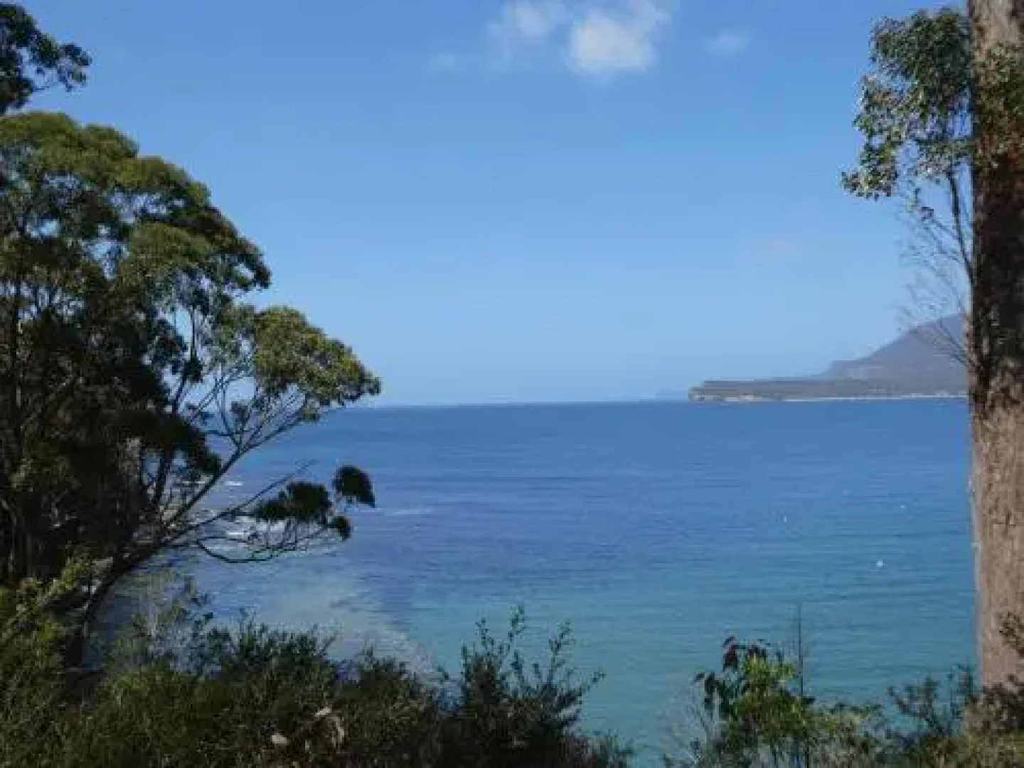 Osprey Lodge Beachfront Bed & Breakfast