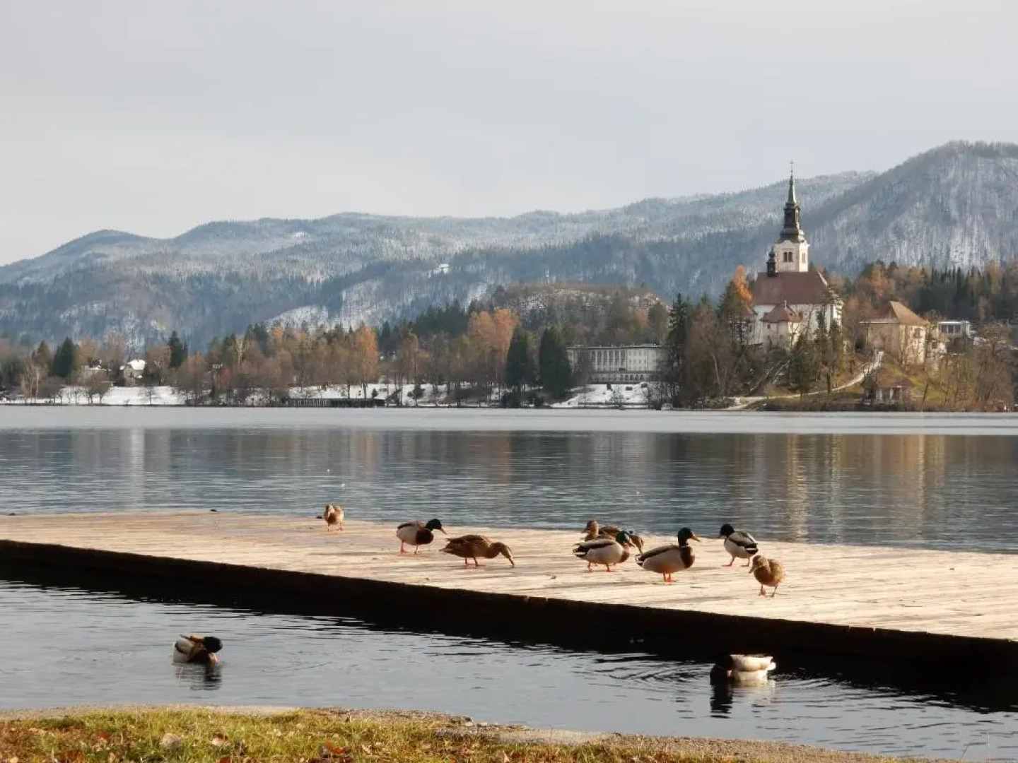 Apartments & Rooms Sebanc by Lake