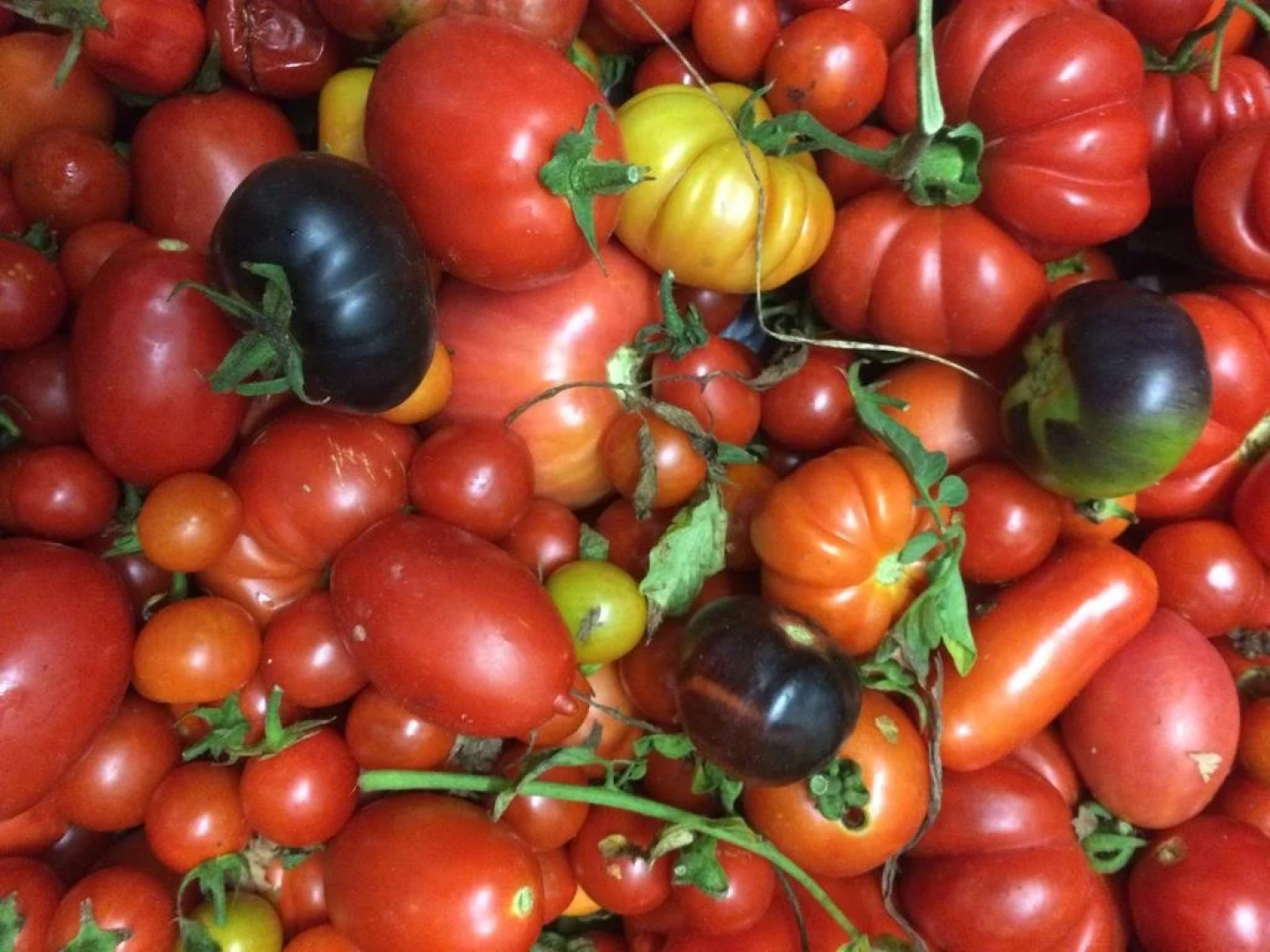 Agriturismo La Colombaia