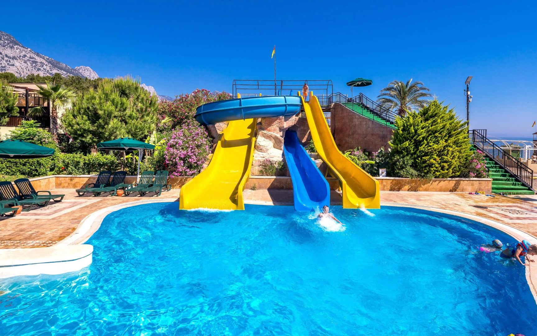 Gypsophila Club Marine