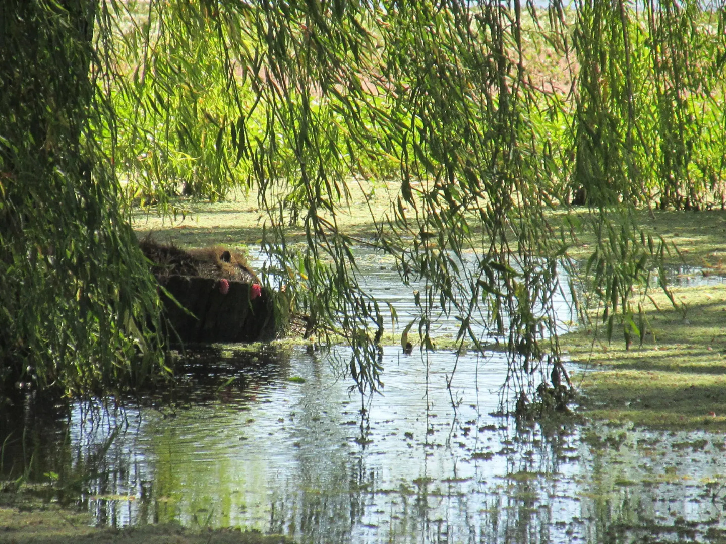 Hotel de Campo Cerrito Colorado