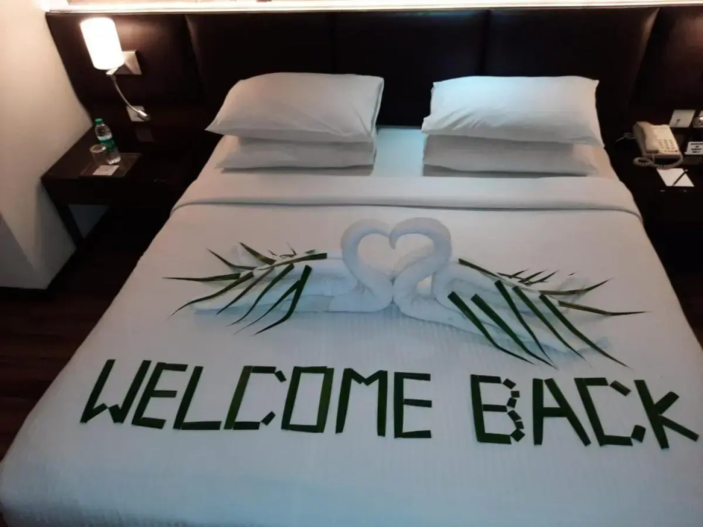 Royal Orchid Central Grazia