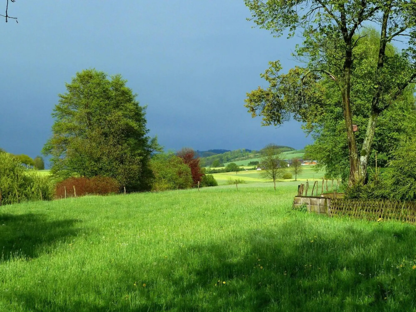 Graceful Holiday Home Near Ski Area in Schmallenberg Germany