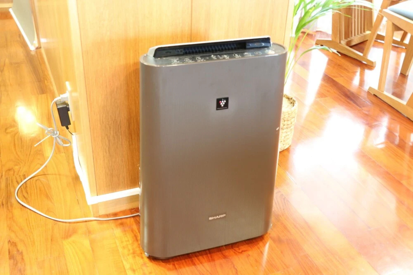 Sakuraya Convention City