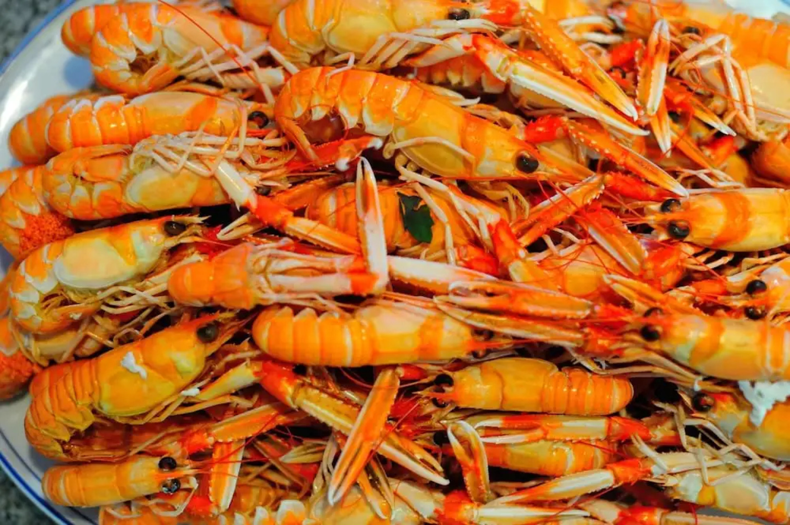 Hotel Restaurante Elisardo