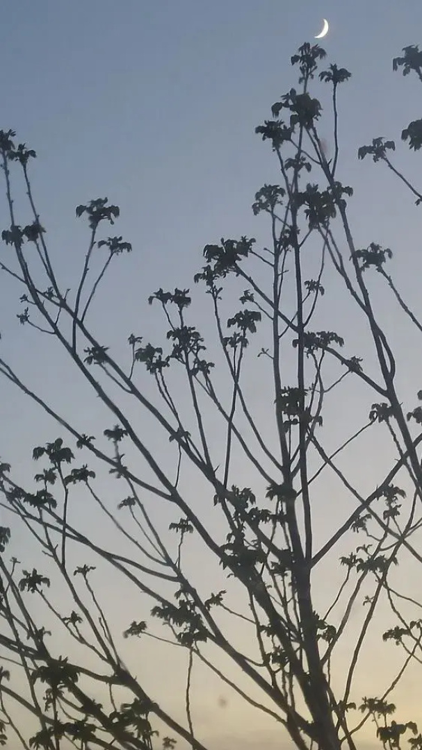 Windsbreath Celebrations and Retreats
