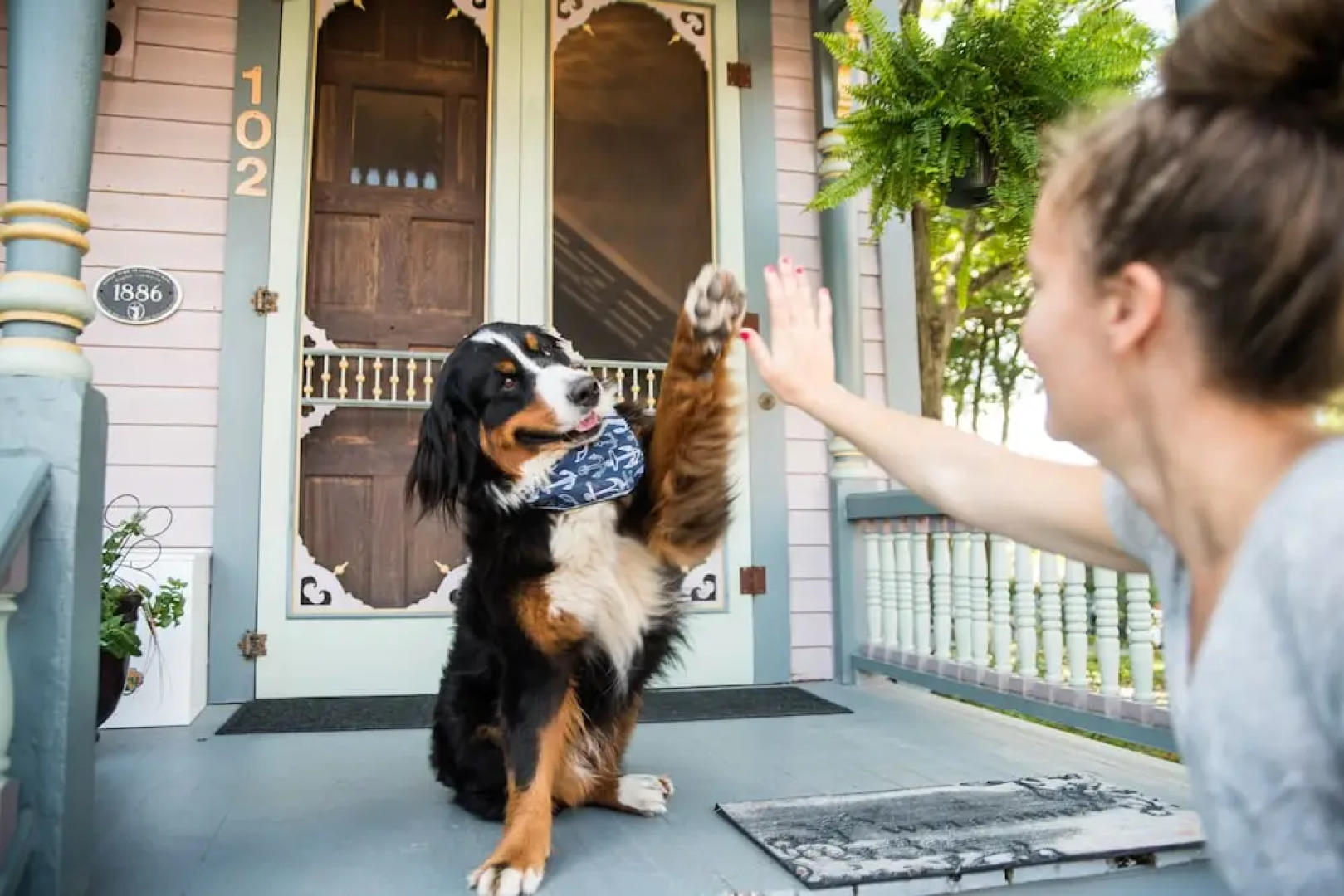 The Inn At Five Points