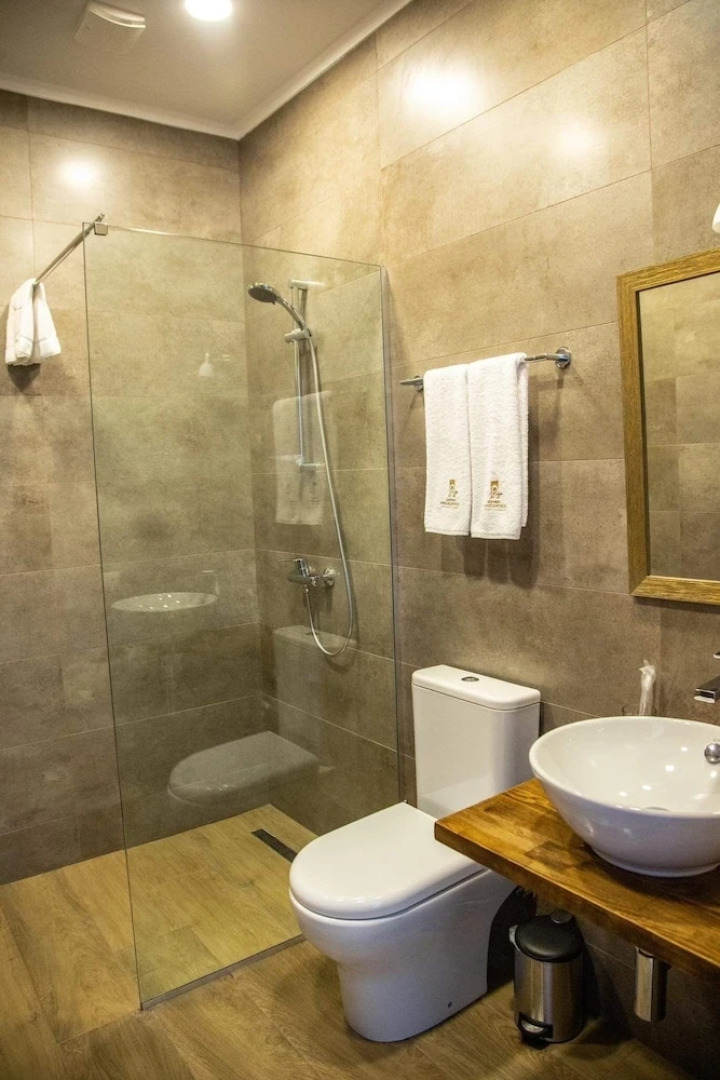 Отель Giorgi Ushikishvili Chateau Celler