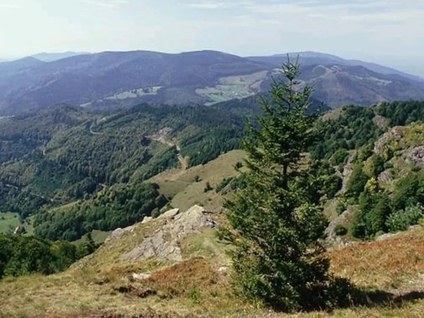 Ferienwohnung Friderich